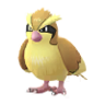Pidgey