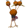 Dodrio