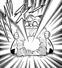 Clefairy de Isamu usando barrera en el PPM010.