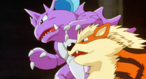 Imagen de Arcanine