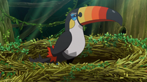 Toucannon de Laymega