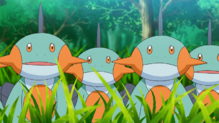 Marshtomp