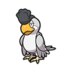 Squawkabilly blanco