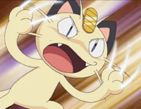 Meowth usando Garras Furiosas/Golpes Furia.