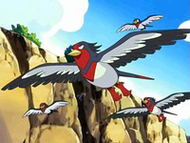 Swellow y Taillow.