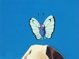 Butterfree