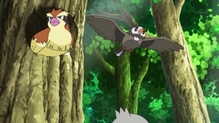 Starly