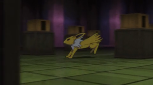 Jolteon de Rojo usando Ataque Rápido en el PO02.
