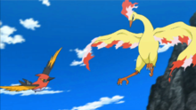 Fletchinder contra Moltres.