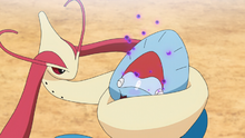 Milotic enrollando al Dracovish de Ash para debilitarlo.