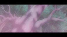 Árboles creciendo de forma forzada.