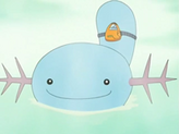 Wooper