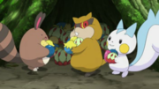 EP839 Sentret Patrat y Pachirisu con bayas.png