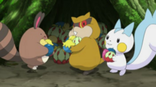 Pachirisu
