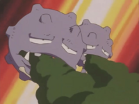 Weezing usando pantallahumo.