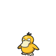 Icono de Psyduck en Pokémon Escarlata y Púrpura