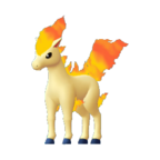 Ponyta