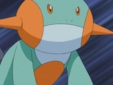 Marshtomp