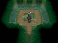 Aparecen Pokémon con habilidades diferentes, en los Huecos de árbol.
