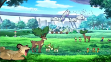Imagen de Sawsbuck