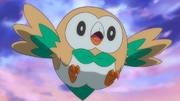 EP954 Rowlet de Ash.png