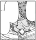 Rhyhorn
