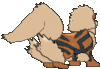 Imagen posterior de Arcanine en Pokémon X, Pokémon Y, Pokémon Rubí Omega, Pokémon Zafiro Alfa, Pokémon Sol, Pokémon Luna, Pokémon Ultrasol y Pokémon Ultraluna