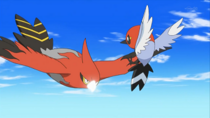 Fletchling contra Talonflame.