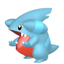 Gible macho