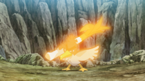 Farfetch'd de Ash usando foco de energía/foco energía.