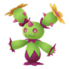 Maractus