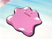 EP131 Ditto.png