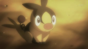 EP739 Tepig.png