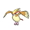 Imagen de Pidgeot en Pokémon X, Pokémon Y, Pokémon Rubí Omega, Pokémon Zafiro Alfa, Pokémon Sol, Pokémon Luna, Pokémon Ultrasol y Pokémon Ultraluna