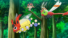 Hoothoot