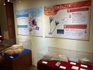 Una exhibición de Lileep