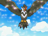 Staraptor