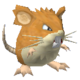 Raticate