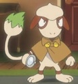 Smeargle