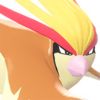 Icono de Pidgeot en Leyendas Pokémon: Z-A