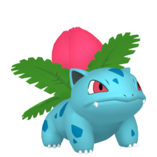 Ivysaur macho