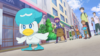 Wooper