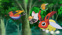 Ledyba