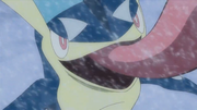 EP924 Greninja sin la lengua alrededor de la cara.png