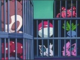 Voltorb
