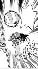 Safaribola/Safari Ball en la Saga Rojo, Verde y Azul.