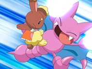 Buneary vs. Gligar.