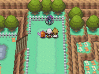 Momentos antes de luchar contra Suicune.