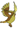 Imagen posterior de Pidgeot variocolor en Pokémon X, Pokémon Y, Pokémon Rubí Omega, Pokémon Zafiro Alfa, Pokémon Sol, Pokémon Luna, Pokémon Ultrasol y Pokémon Ultraluna