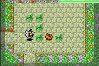 Ataque Rápido en Pokémon Mundo misterioso: Equipo de rescate rojo y Equipo de rescate azul.